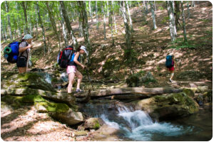 Great Family Hikes In Northern Utah