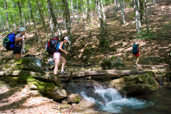 Great Family Hikes In Northern Utah By Duchesne’s Favorite Orthodontist