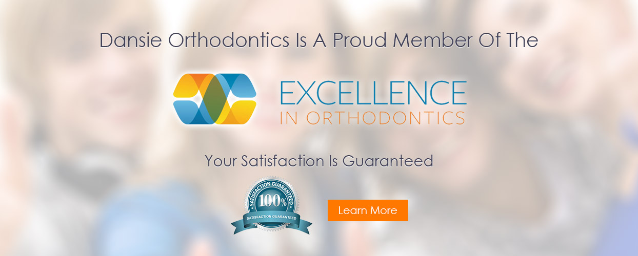 excellence in orthodontics dansie