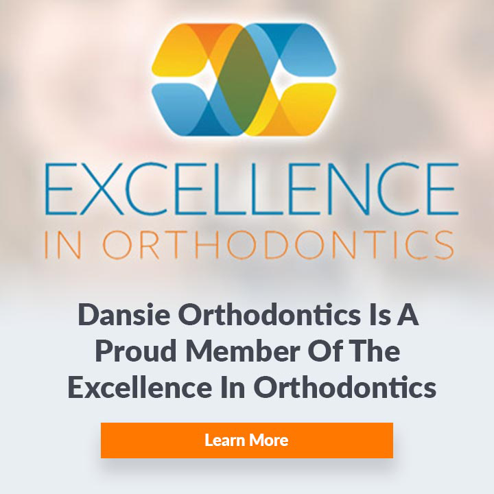 excellence in orthodontics dansie